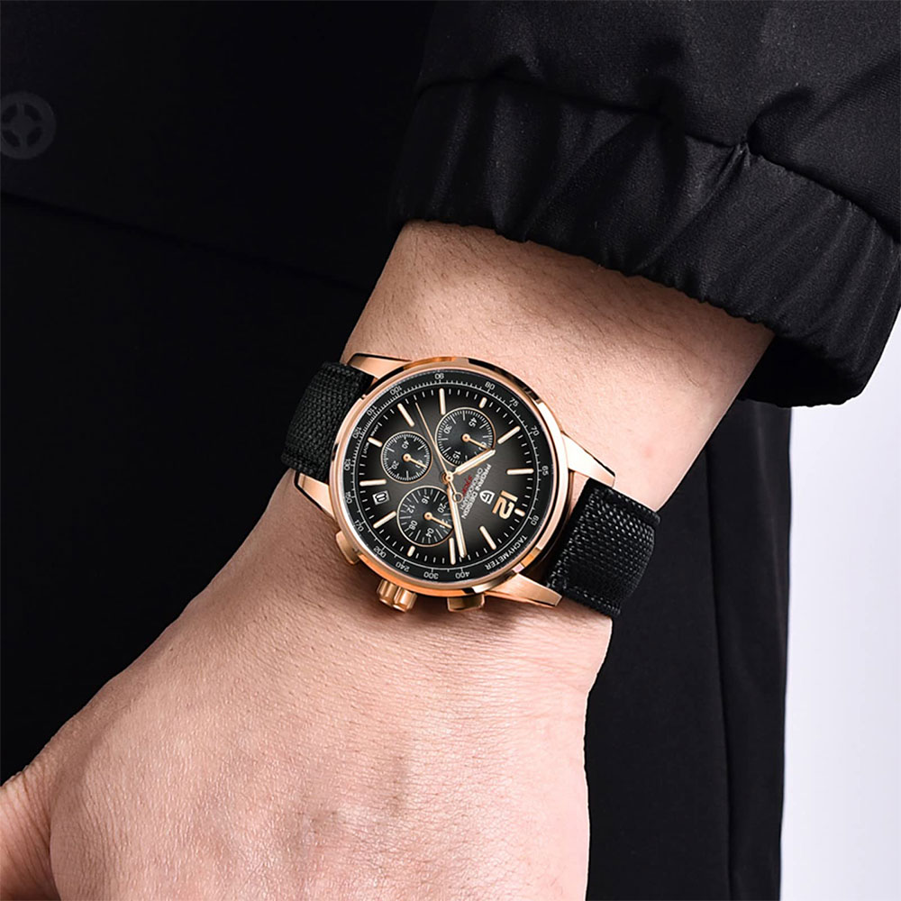PAGANI DESIGN New Mens Watch 4 - Luxury Watch Life recension och pris