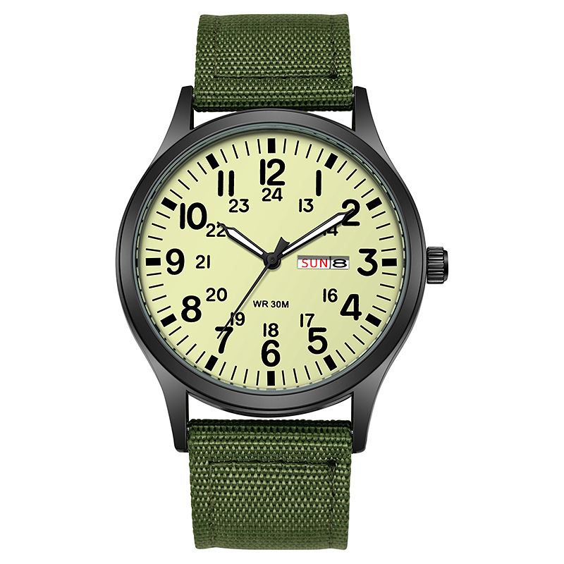 2024 TPW Field Watch Easy Read - Field Watch Military recension och pris