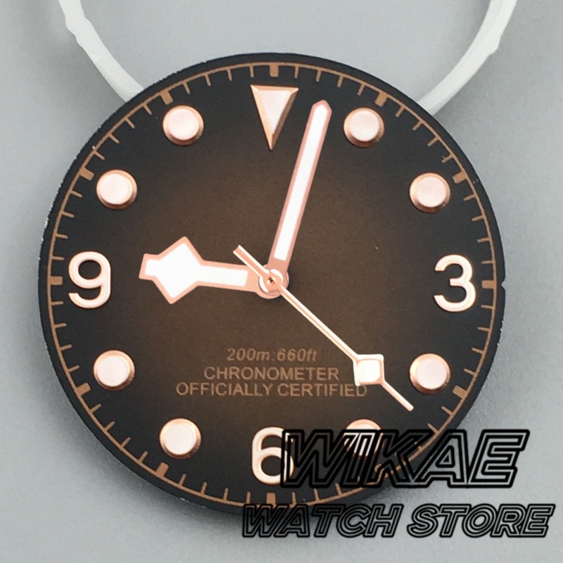 29mm Gradient Dial Vintage Bla - Bronze Case Watch recension och pris